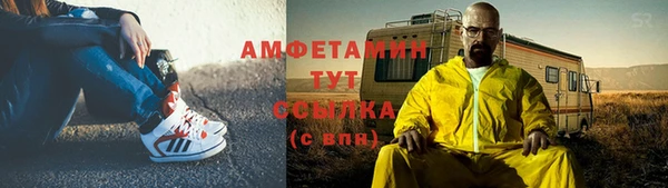 прущие грибы Аркадак