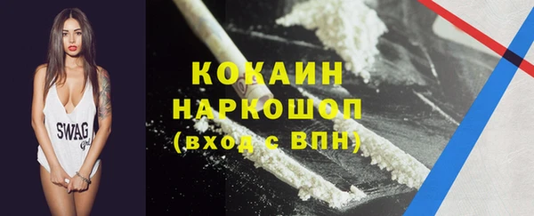 прущие грибы Аркадак