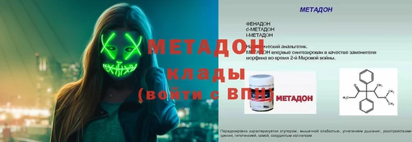 прущие грибы Аркадак