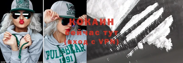 прущие грибы Аркадак