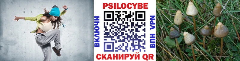 Галлюциногенные грибы Psilocybe  mega сайт  Сергач 